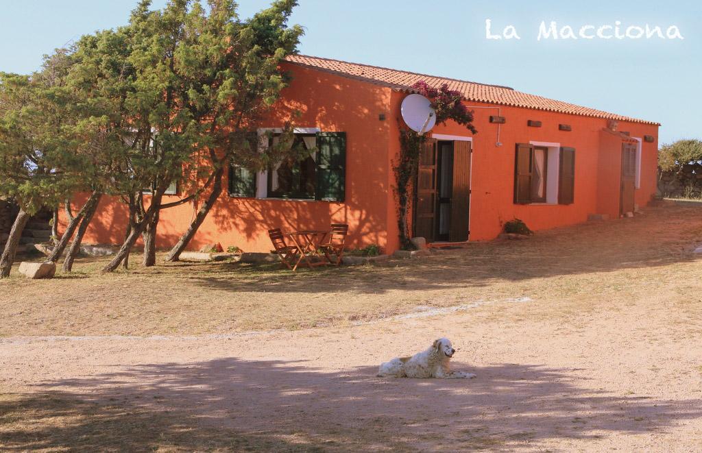 La Macciona Aglientu